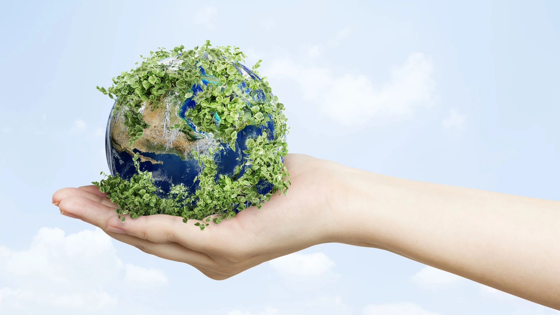 Sustainable development